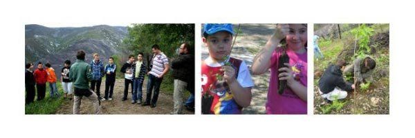 campana por unos montes sin fuego