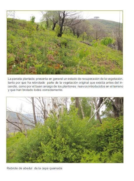 fondo para la proteccion de los animales salvajes fapas (1)